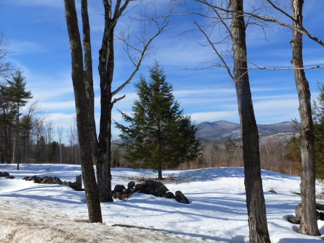 Lot 33 Durgin Road Center Tuftonboro, NH 03816 - Photo 20 of 22