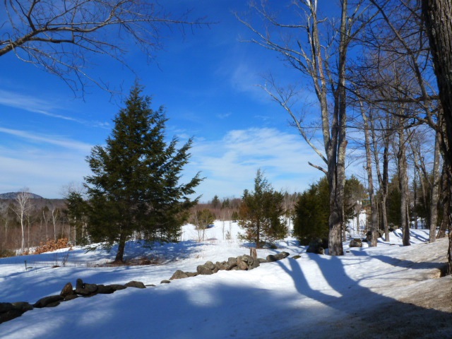 Lot 33 Durgin Road Center Tuftonboro, NH 03816 - Photo 22 of 22