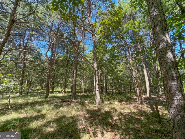 $299,500 | 38 Acres On Ga Hwy 157, Menlo, GA 30731