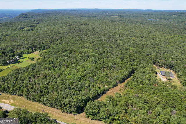 $299,500 | 38 Acres On Ga Hwy 157, Menlo, GA 30731