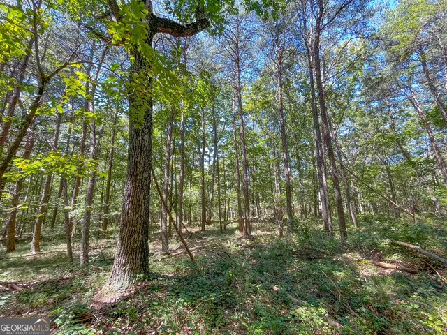 $299,500 | 38 Acres On Ga Hwy 157, Menlo, GA 30731