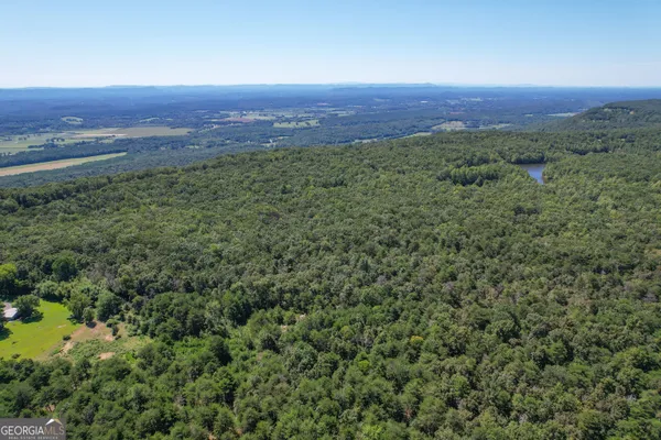 $279,500 | 38 Acres On Ga Hwy 157, Menlo, GA 30731