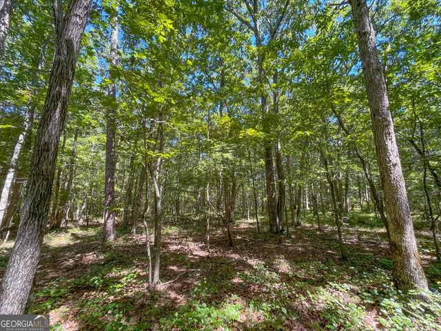 $299,500 | 38 Acres On Ga Hwy 157, Menlo, GA 30731