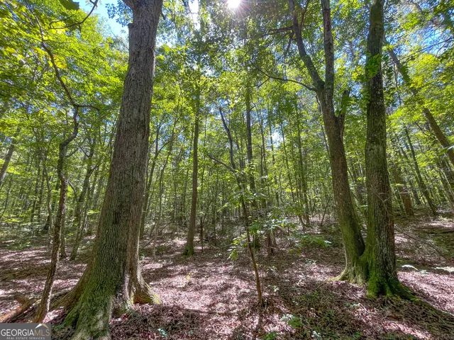 $299,500 | 38 Acres On Ga Hwy 157, Menlo, GA 30731