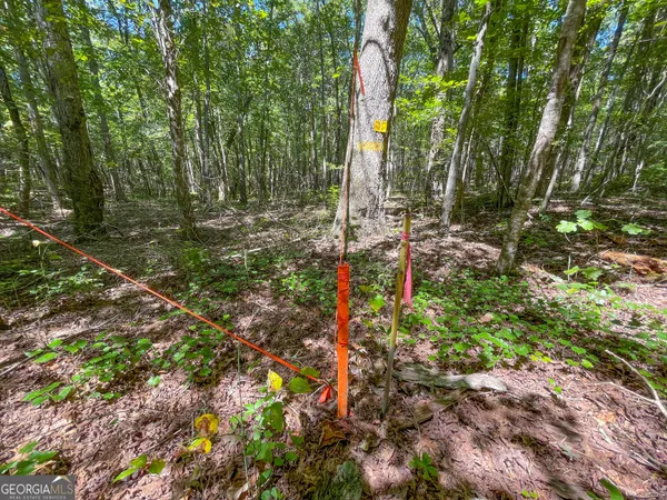$279,500 | 38 Acres On Ga Hwy 157, Menlo, GA 30731