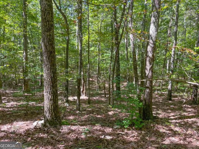 $299,500 | 38 Acres On Ga Hwy 157, Menlo, GA 30731