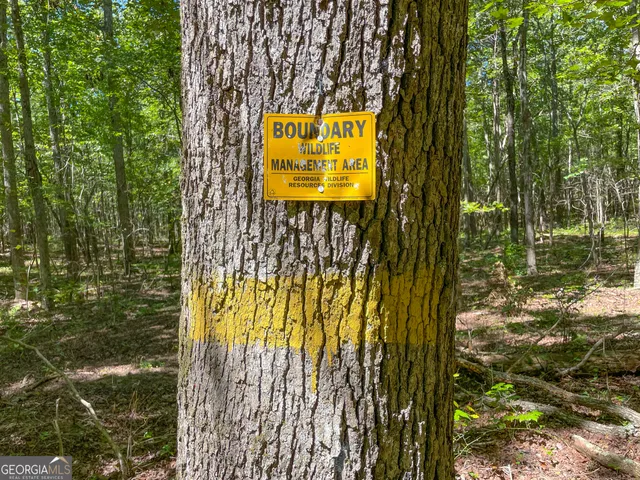 $299,500 | 38 Acres On Ga Hwy 157, Menlo, GA 30731