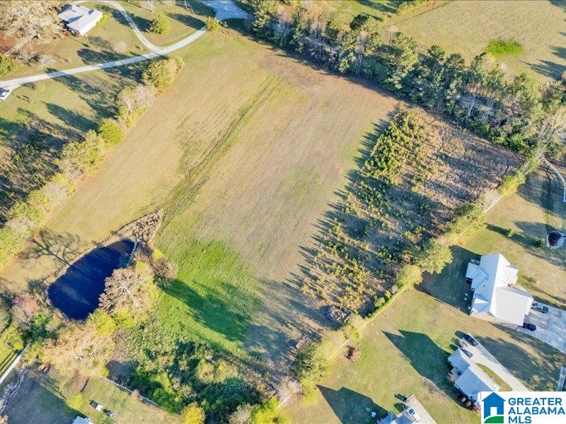 124 Perkins Landing Road, Unit 5 Columbiana, AL 35051 - Photo 42 of 49