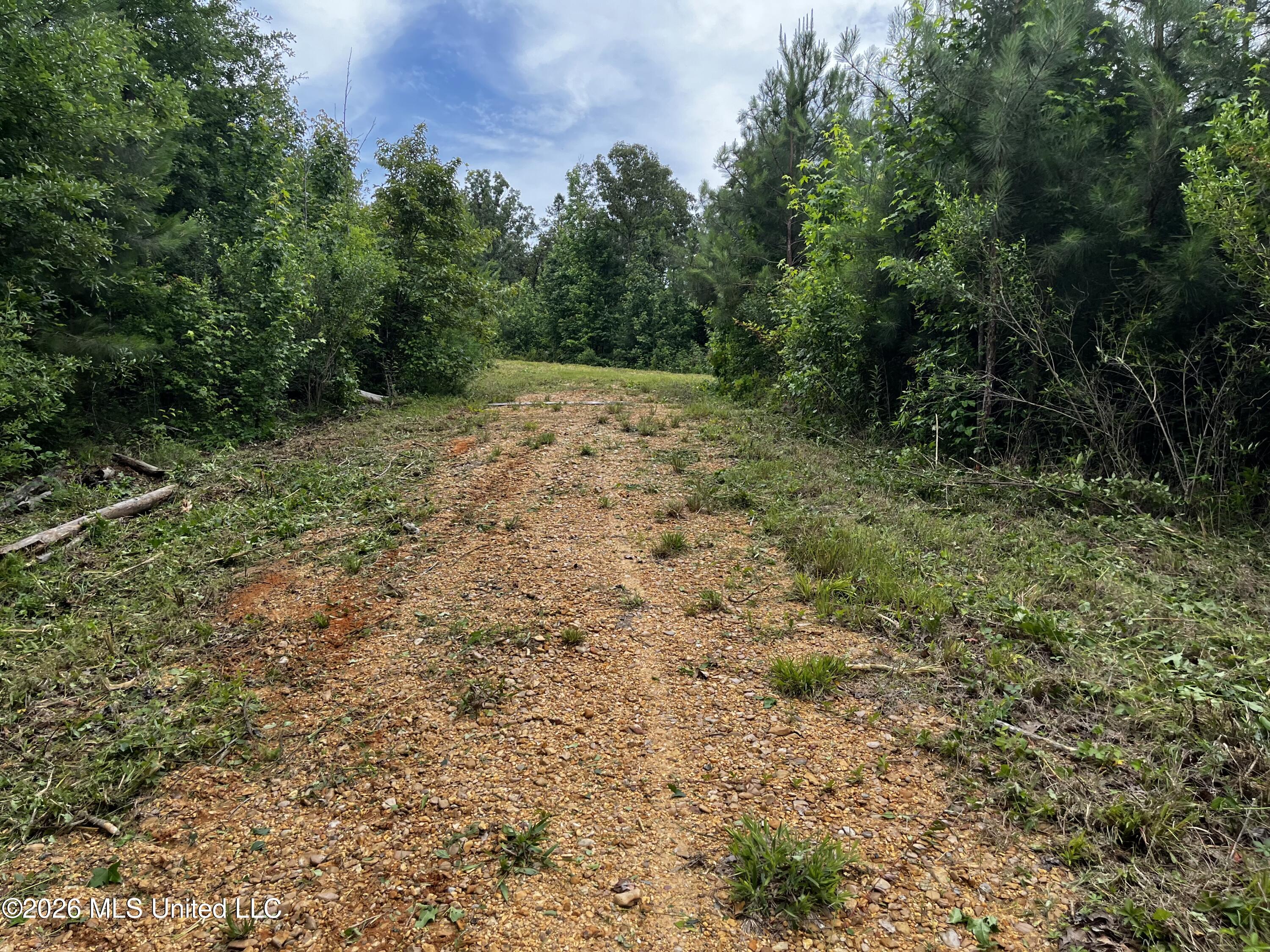 Cline Road Wesson, MS 39191 - Photo 12 of 16 IMG_1148