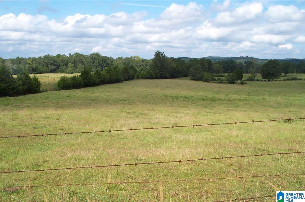 1910 Peaceful Valley Road, Unit 1 Eastaboga, AL 36260 - Photo 1 of 9