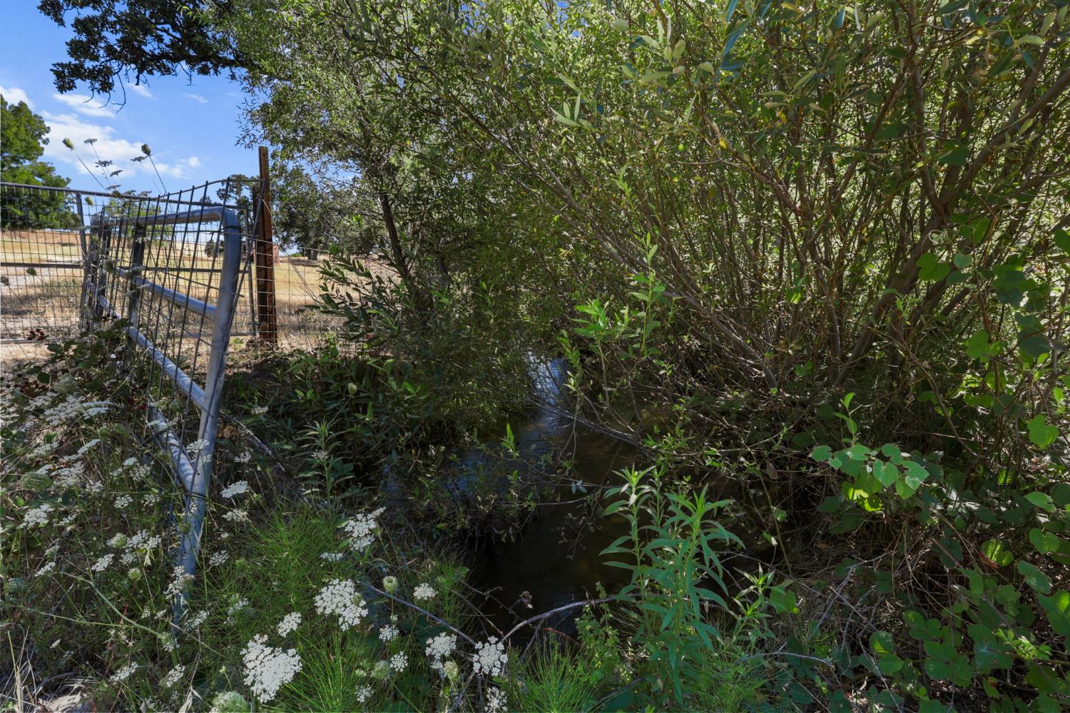27845 Whitmore Road Millville, CA 96062 - Photo 18 of 38 Bassett Ditch