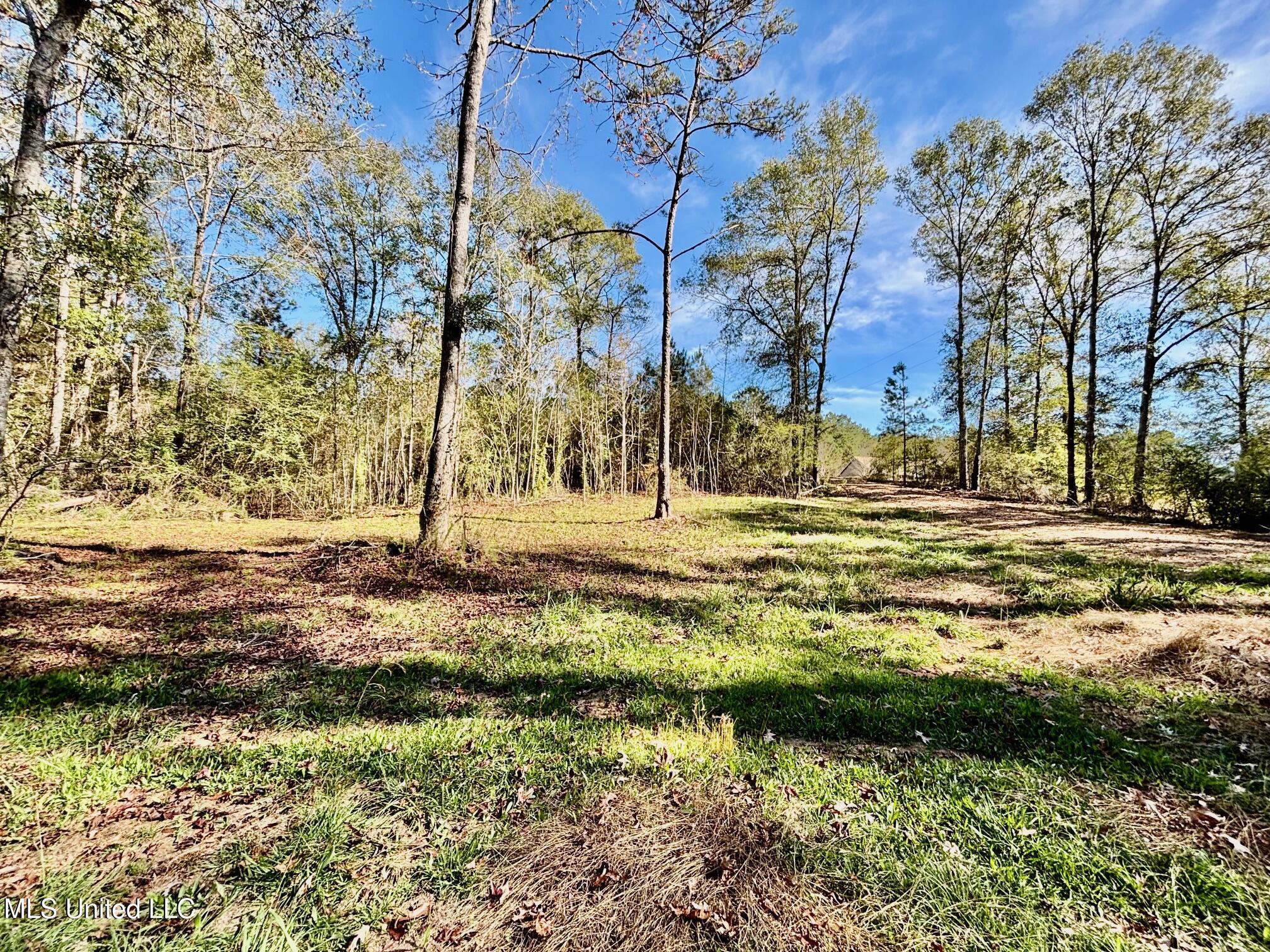 1033 Spike Lane Summit, MS 39666 - Photo 19 of 26 IMG_0520