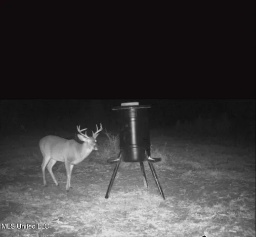 $157,500 | 1033 Spike Lane, Summit, MS 39666