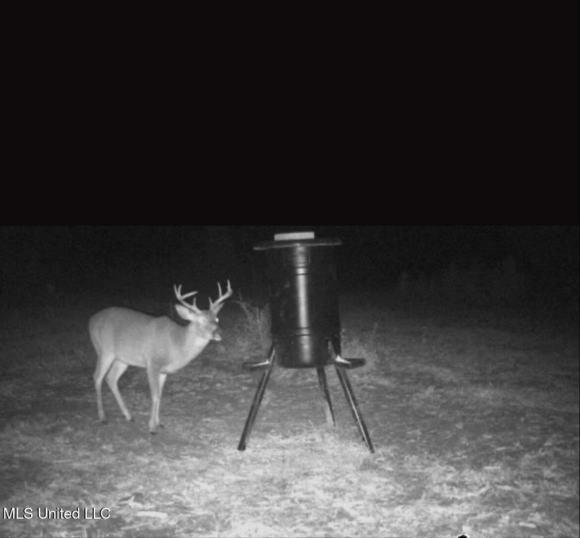 1033 Spike Lane Summit, MS 39666 - Photo 26 of 26 IMG_5076