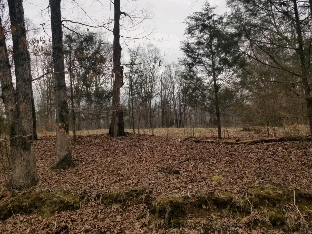 0 Pratt Cemetery Road Milan, TN 38316 - Photo 2 of 4 Photo 2