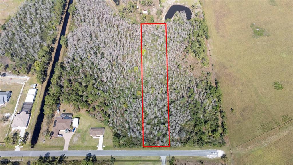 Sabal Street Orlando, FL 32833 - Photo 6 of 21