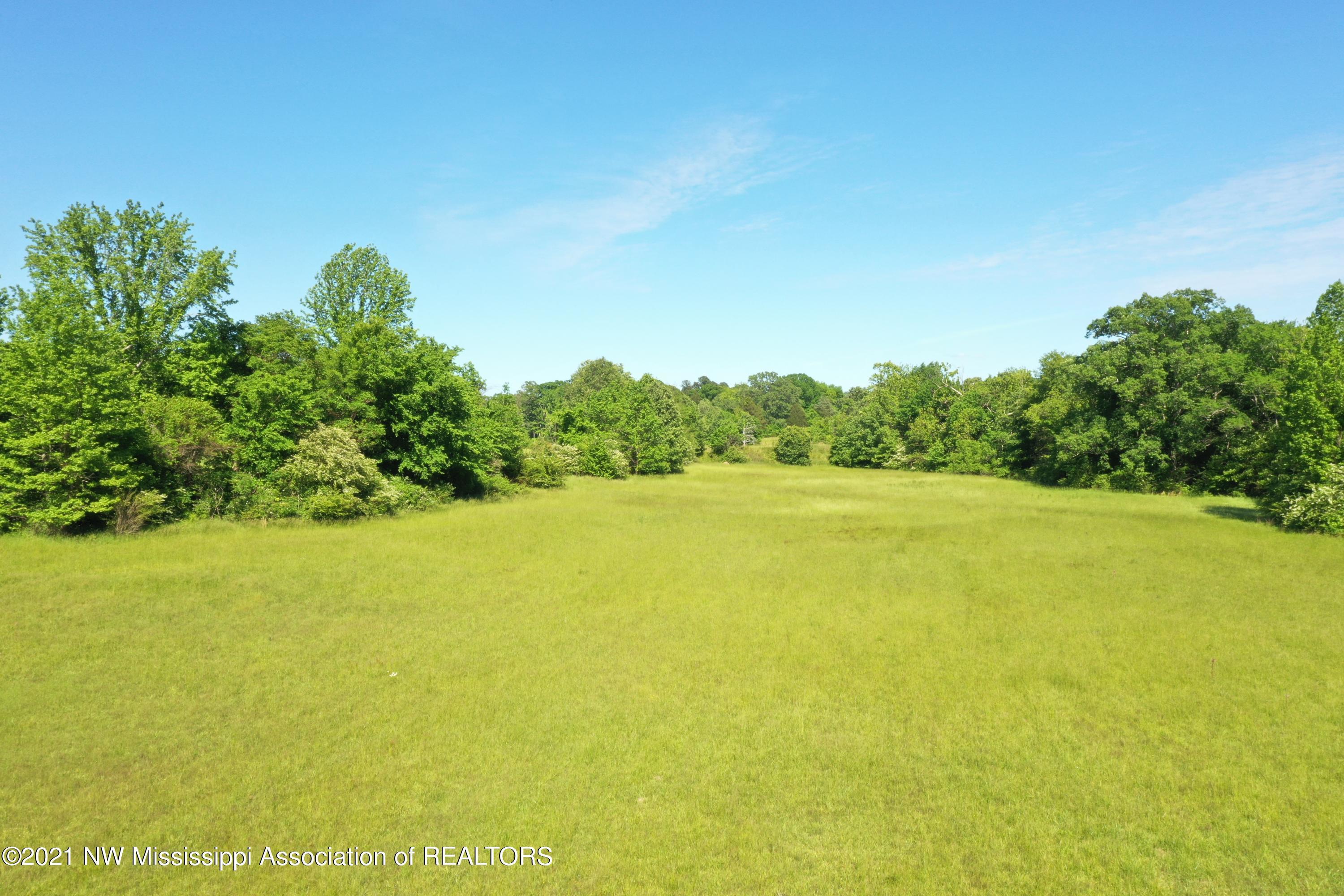 3 Red Banks Road North Byhalia, MS 38611 - Photo 17 of 38 DJI_0312