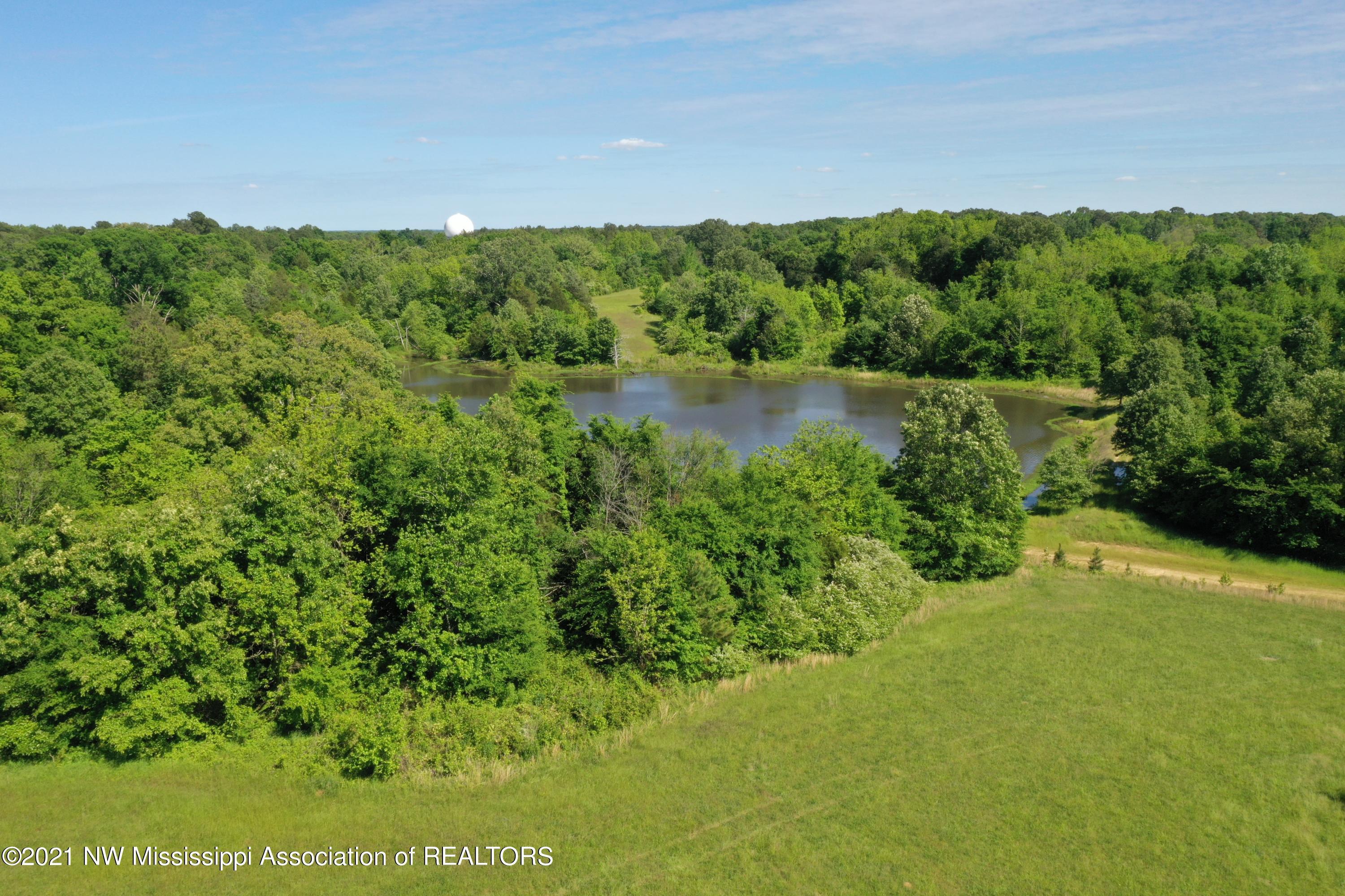 3 Red Banks Road North Byhalia, MS 38611 - Photo 18 of 38 DJI_0313