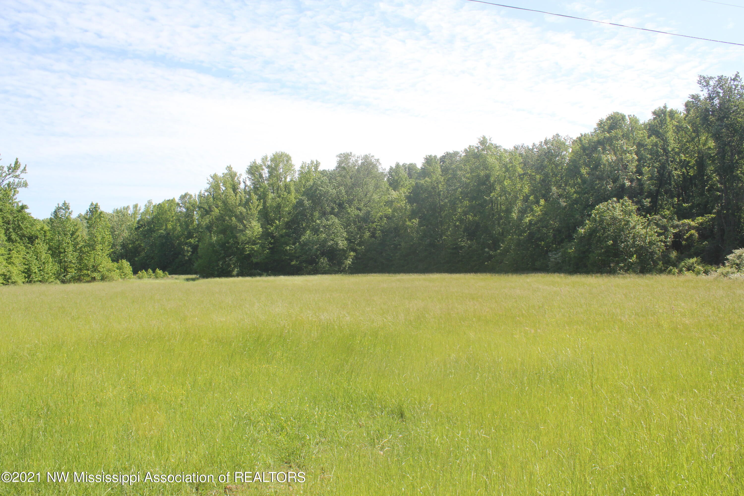 3 Red Banks Road North Byhalia, MS 38611 - Photo 20 of 38 IMG_6442