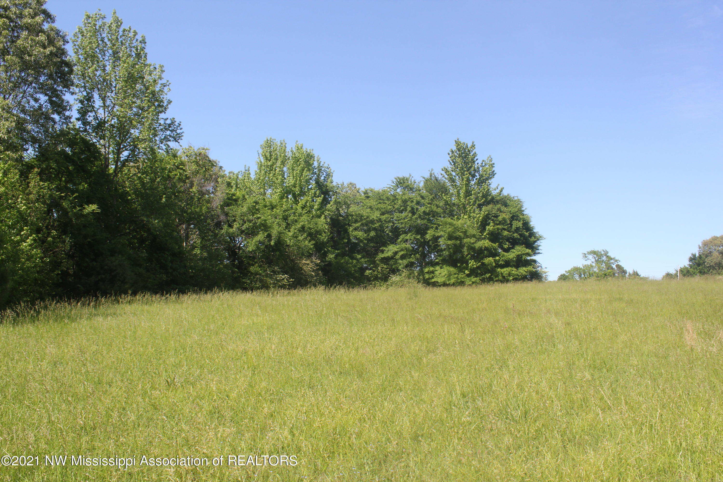 3 Red Banks Road North Byhalia, MS 38611 - Photo 25 of 38 IMG_6451