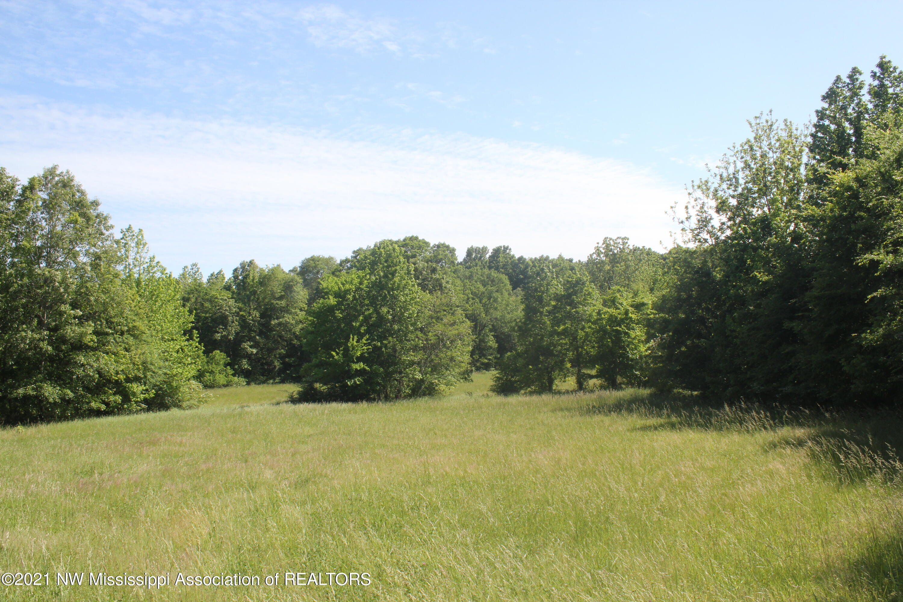 3 Red Banks Road North Byhalia, MS 38611 - Photo 29 of 38 IMG_6459
