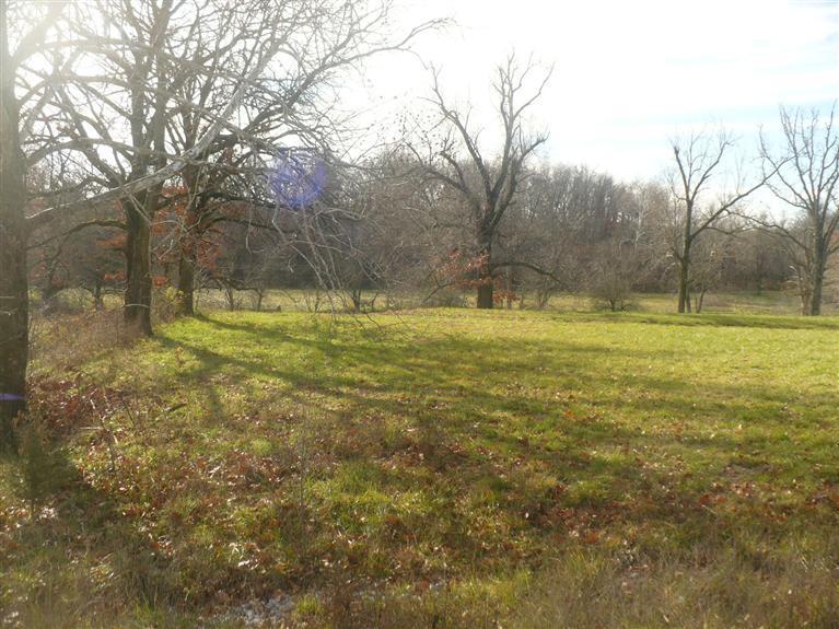 L40 Davis Bridge Road Republic, MO 65738 - Photo 1 of 1 terrell creek 1.jpg