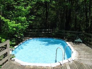 2788 West Dean Road Temperance, MI 48182 - Photo 3 of 19 POOL AND DECK