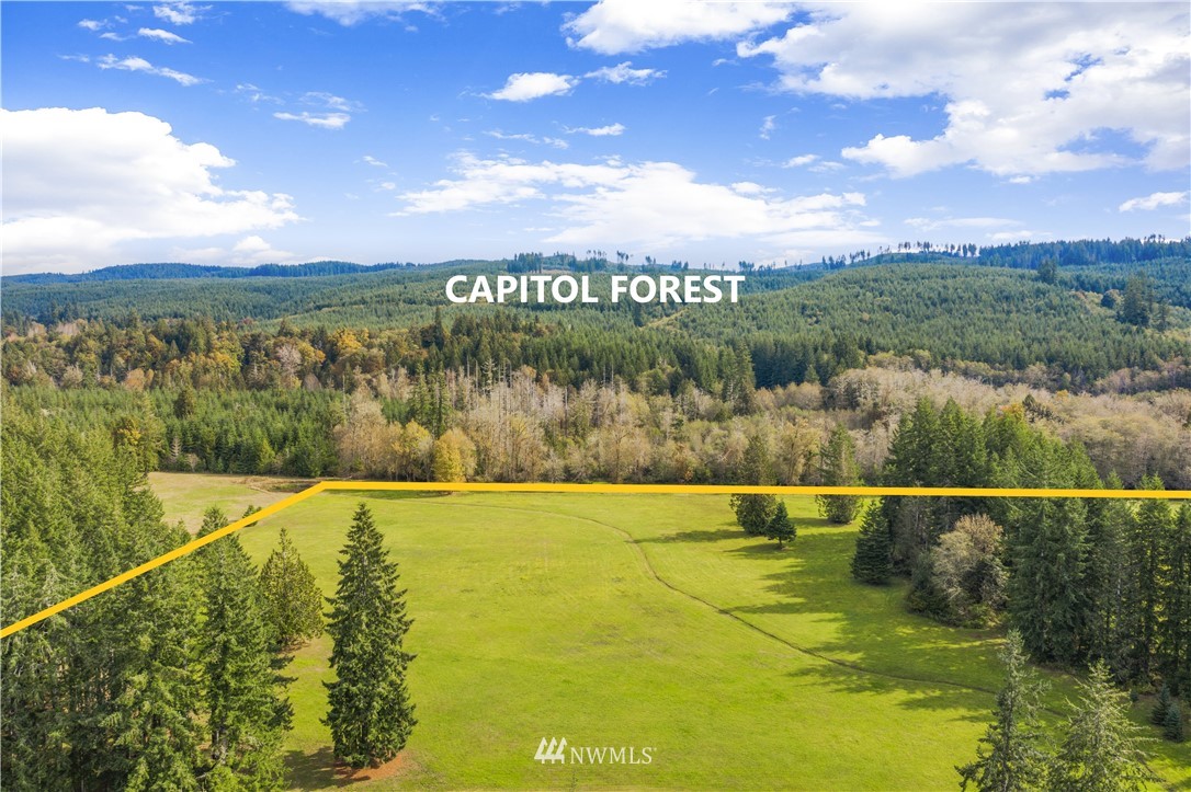 968 Mox Chehalis Road McCleary, WA 98557 - Photo 3 of 25 Gallery Image 3