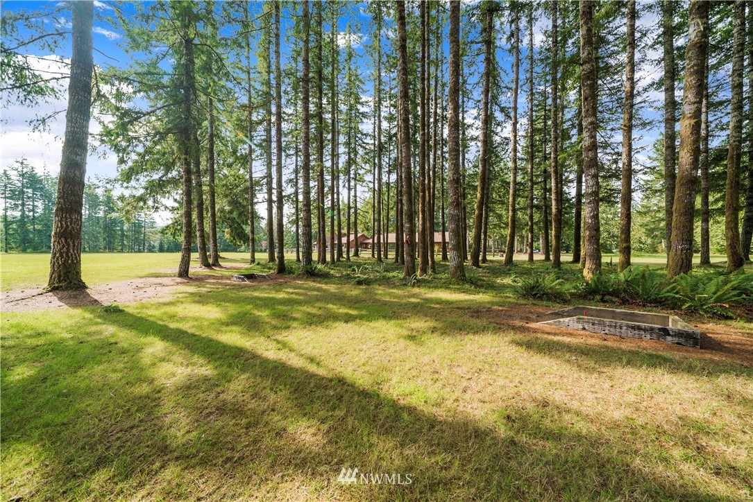 968 Mox Chehalis Road McCleary, WA 98557 - Photo 23 of 25 Gallery Image 23
