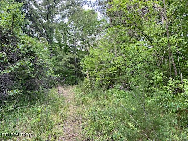 Wooded 10 Acres