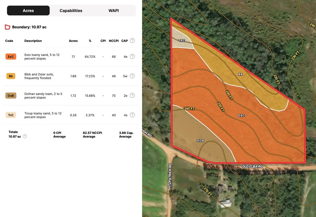 5-acres Old Elba Road Coffee Springs, AL 36318 - Photo 6 of 18
