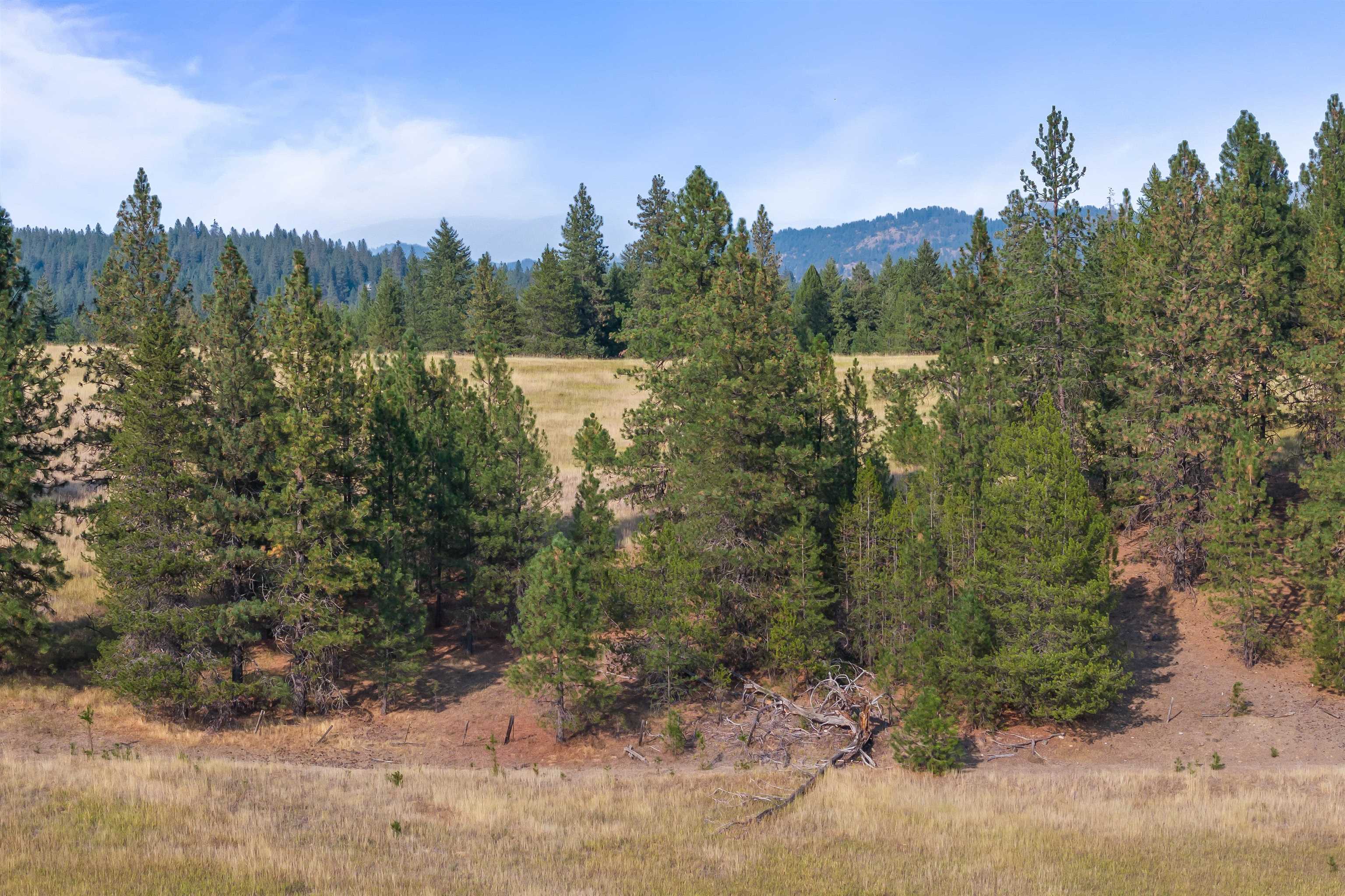 42-xx Lyons Hill Road Springdale, WA 99173 - Photo 11 of 24