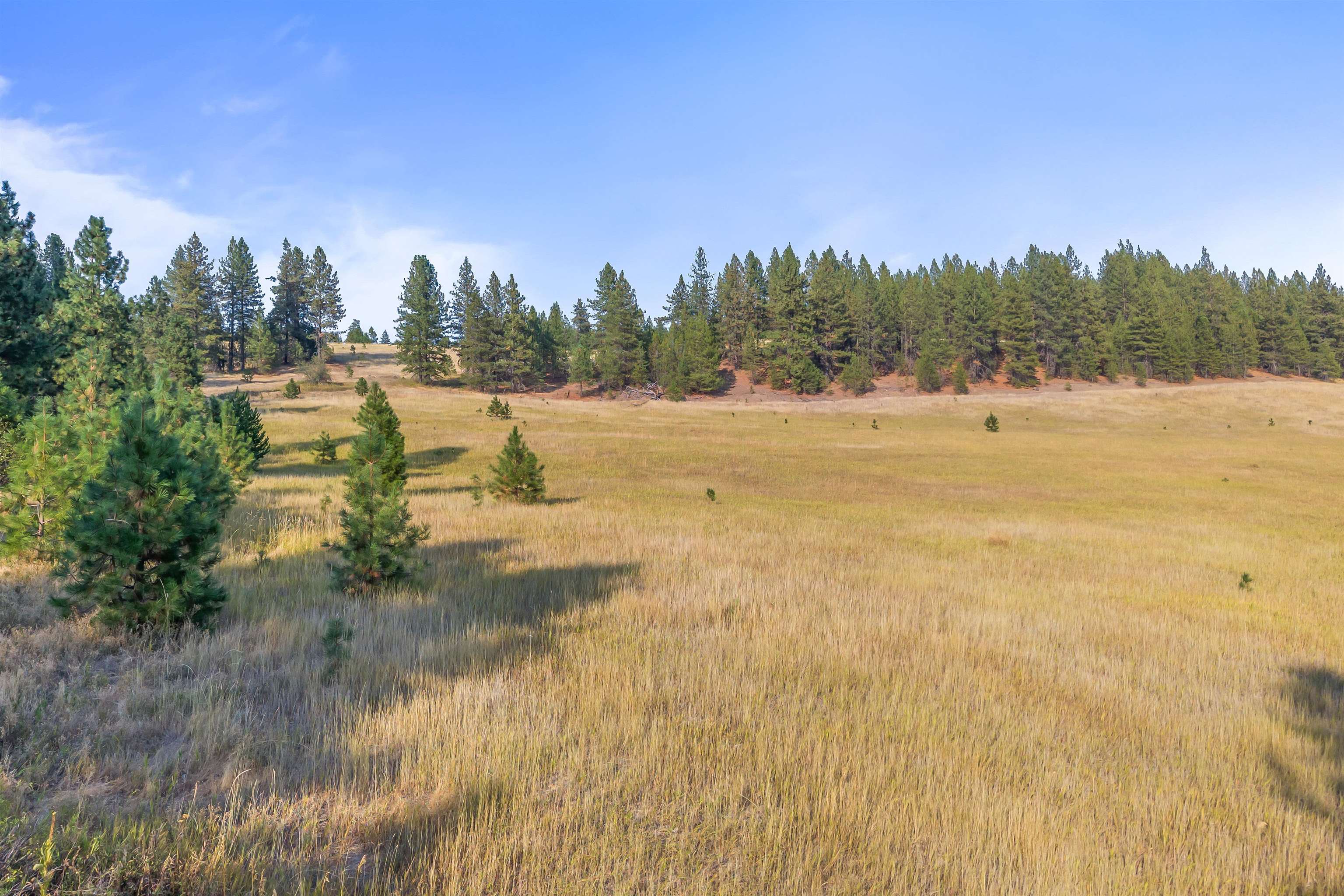 42-xx Lyons Hill Road Springdale, WA 99173 - Photo 13 of 24