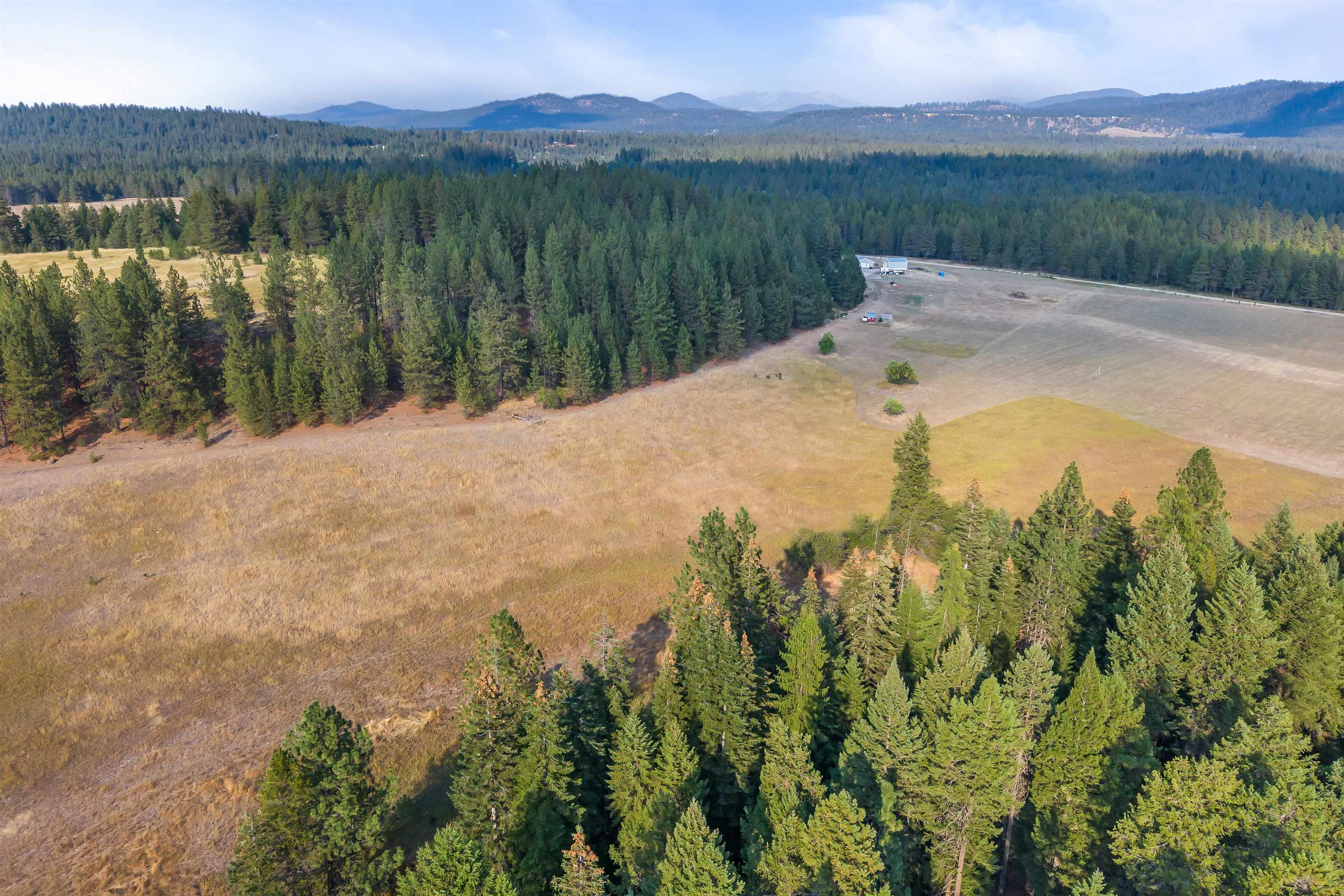 42-xx Lyons Hill Road Springdale, WA 99173 - Photo 14 of 24