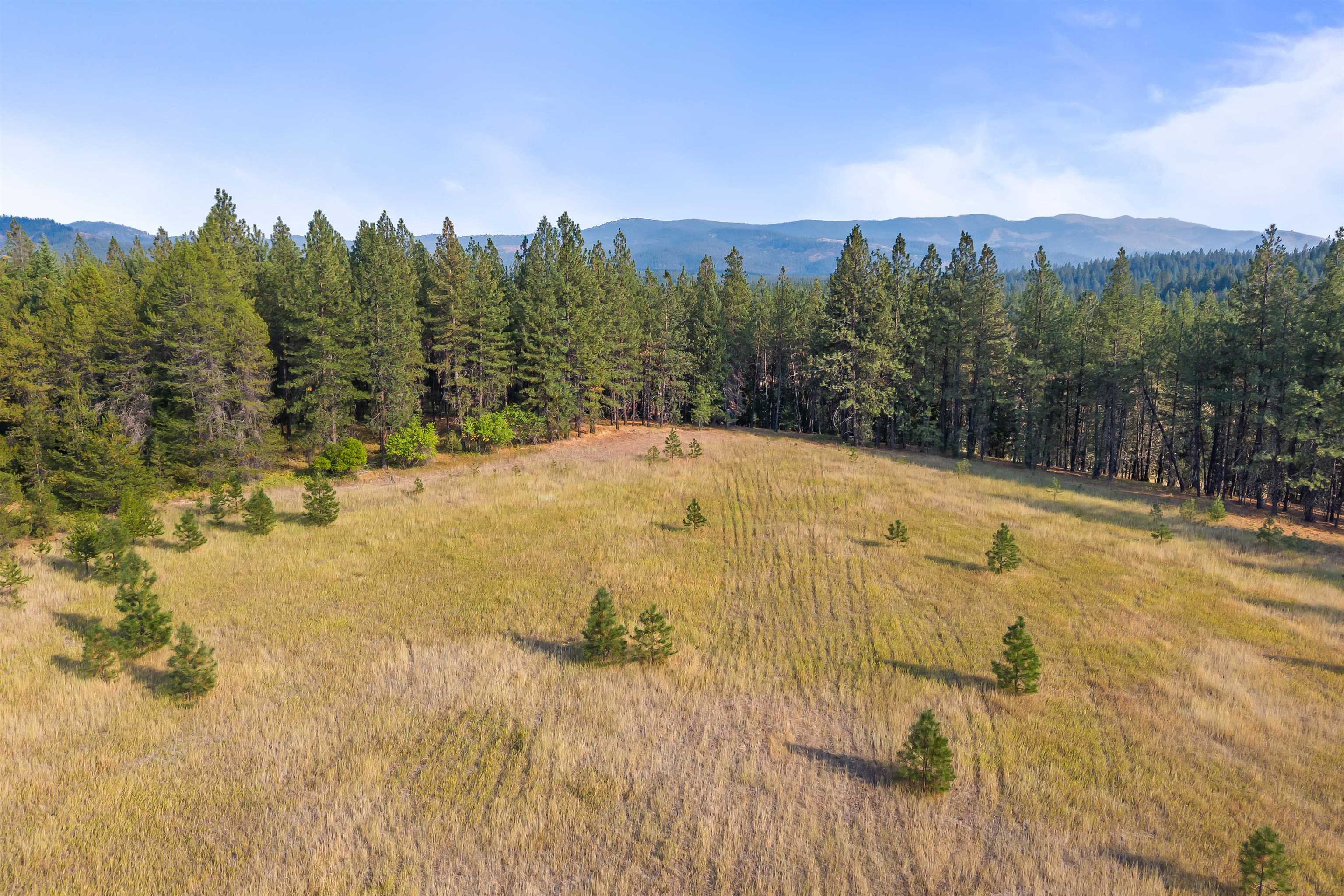 42-xx Lyons Hill Road Springdale, WA 99173 - Photo 17 of 24