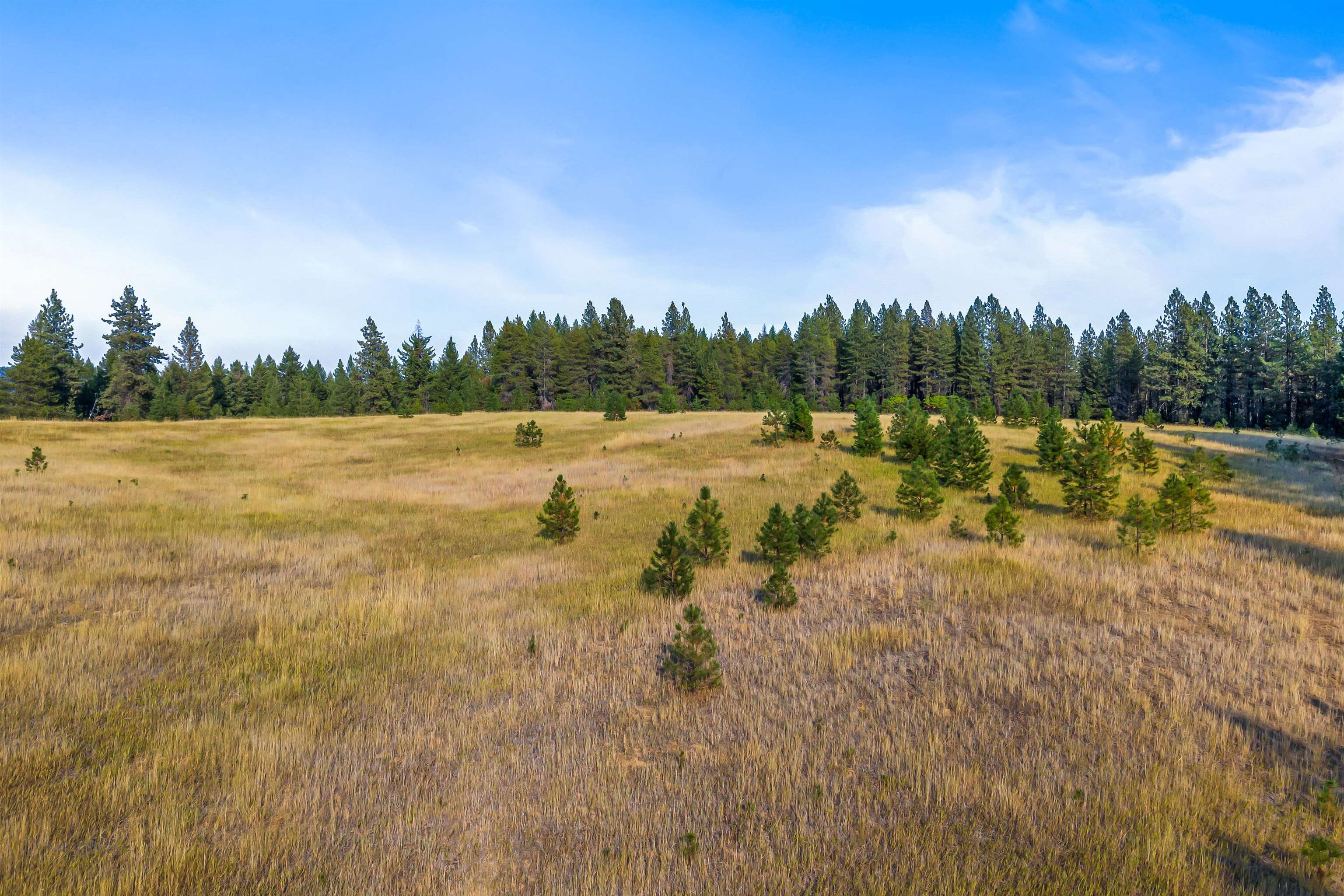 42-xx Lyons Hill Road Springdale, WA 99173 - Photo 19 of 24