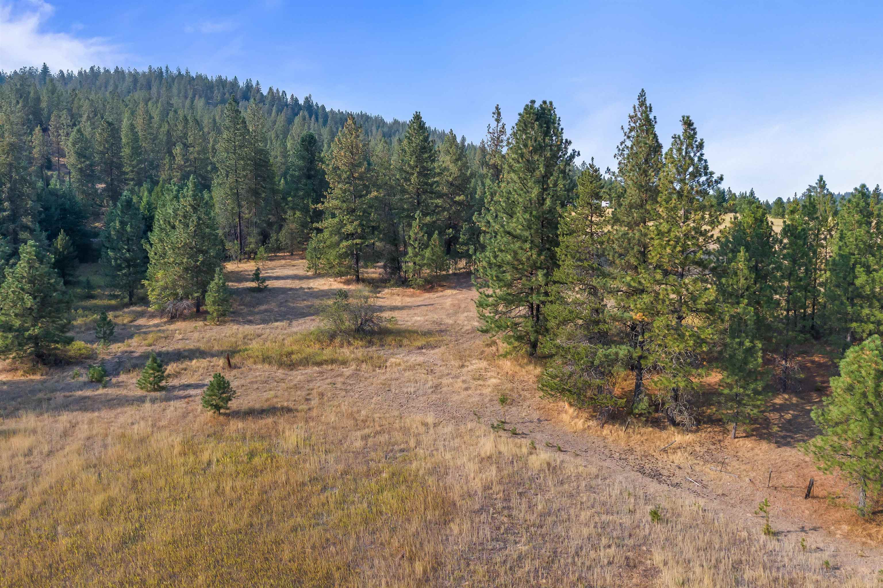 42-xx Lyons Hill Road Springdale, WA 99173 - Photo 20 of 24