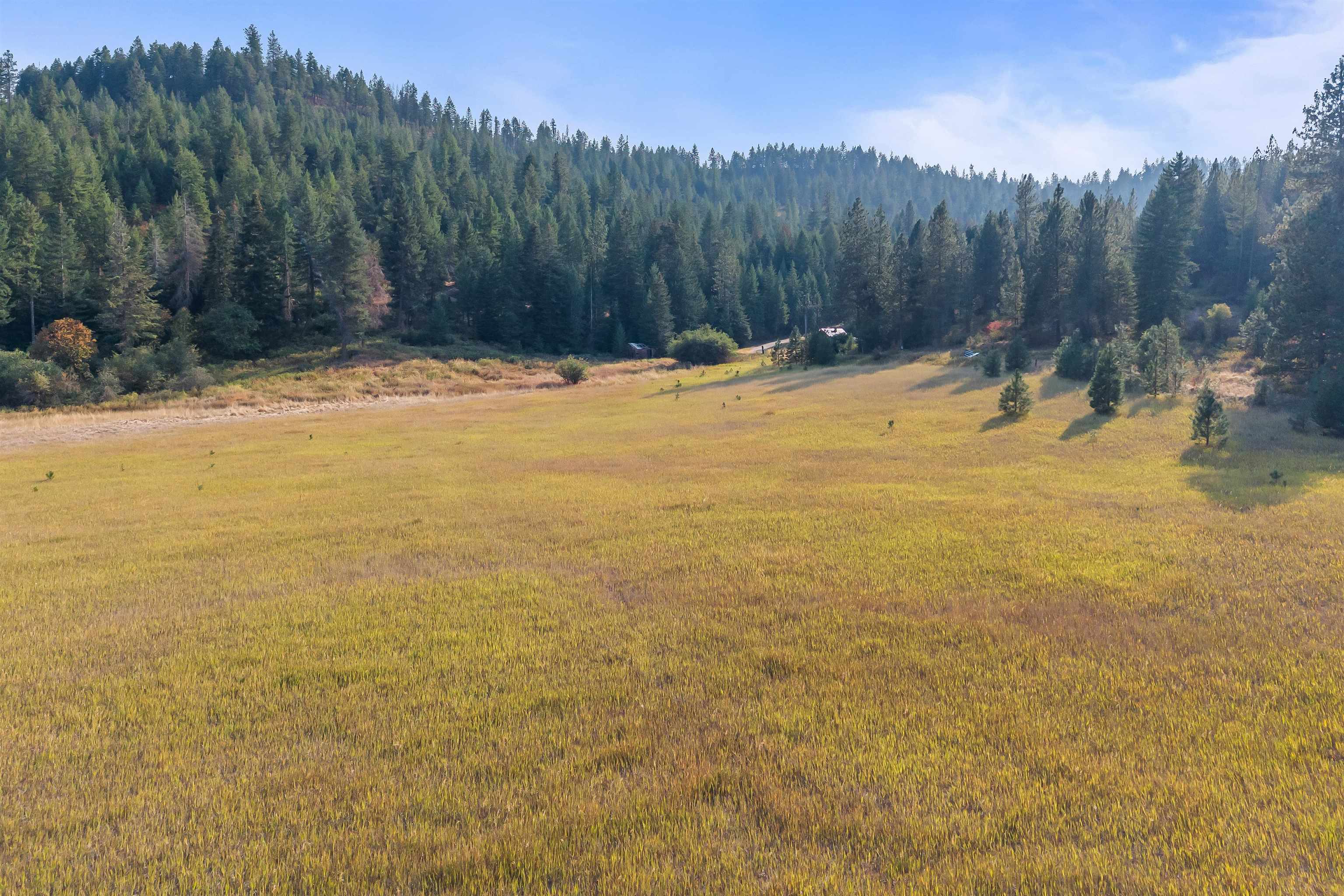 42-xx Lyons Hill Road Springdale, WA 99173 - Photo 23 of 24