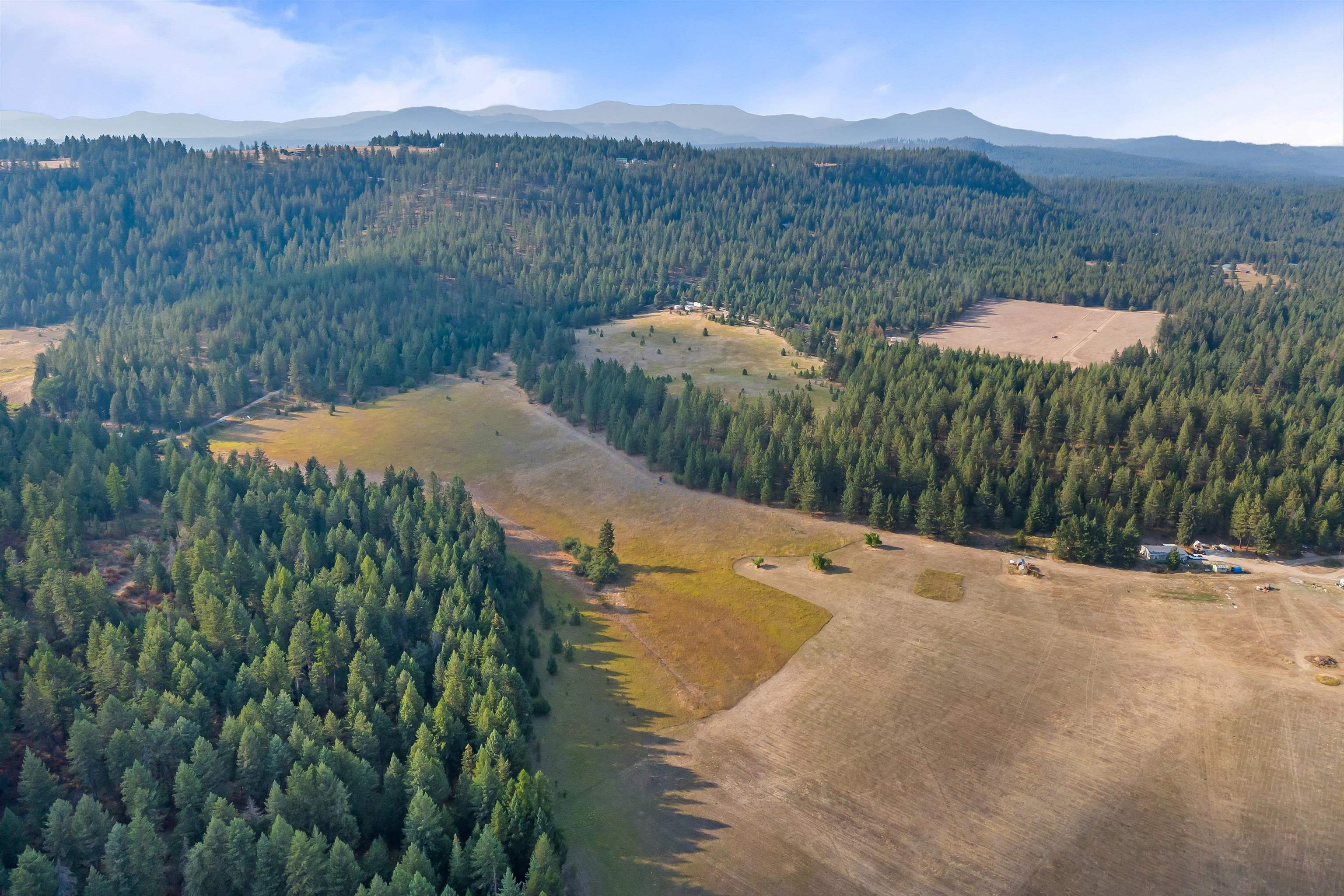 42-xx Lyons Hill Road Springdale, WA 99173 - Photo 3 of 24