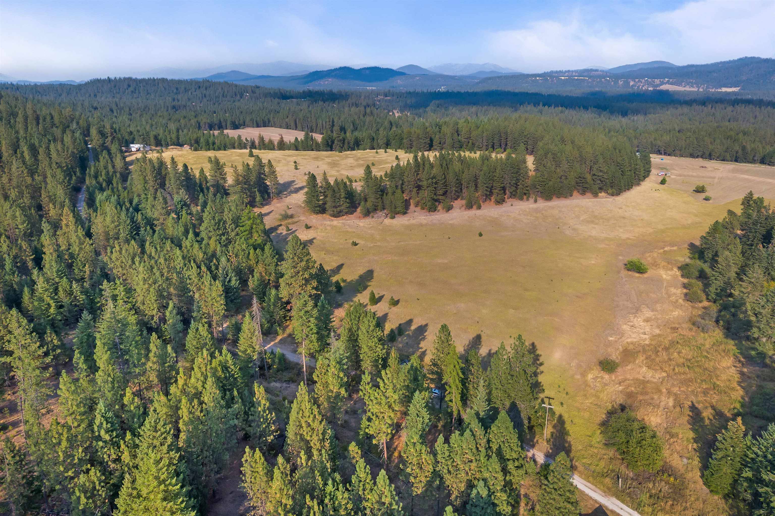 42-xx Lyons Hill Road Springdale, WA 99173 - Photo 6 of 24