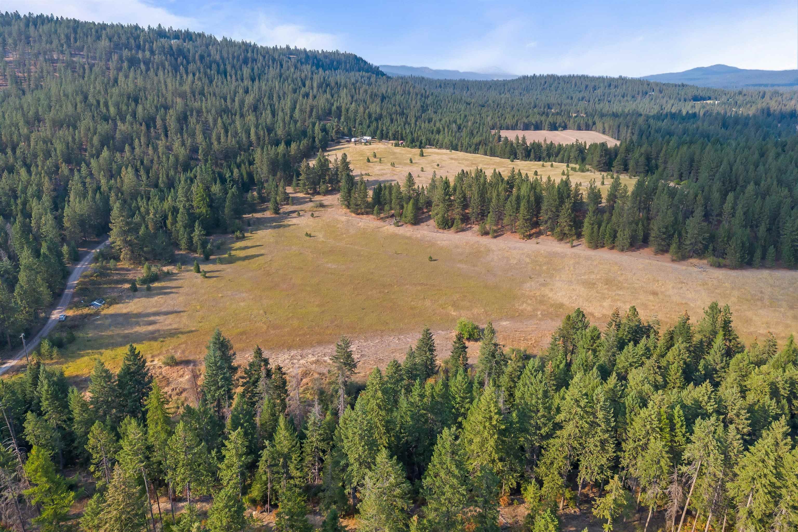 42-xx Lyons Hill Road Springdale, WA 99173 - Photo 7 of 24