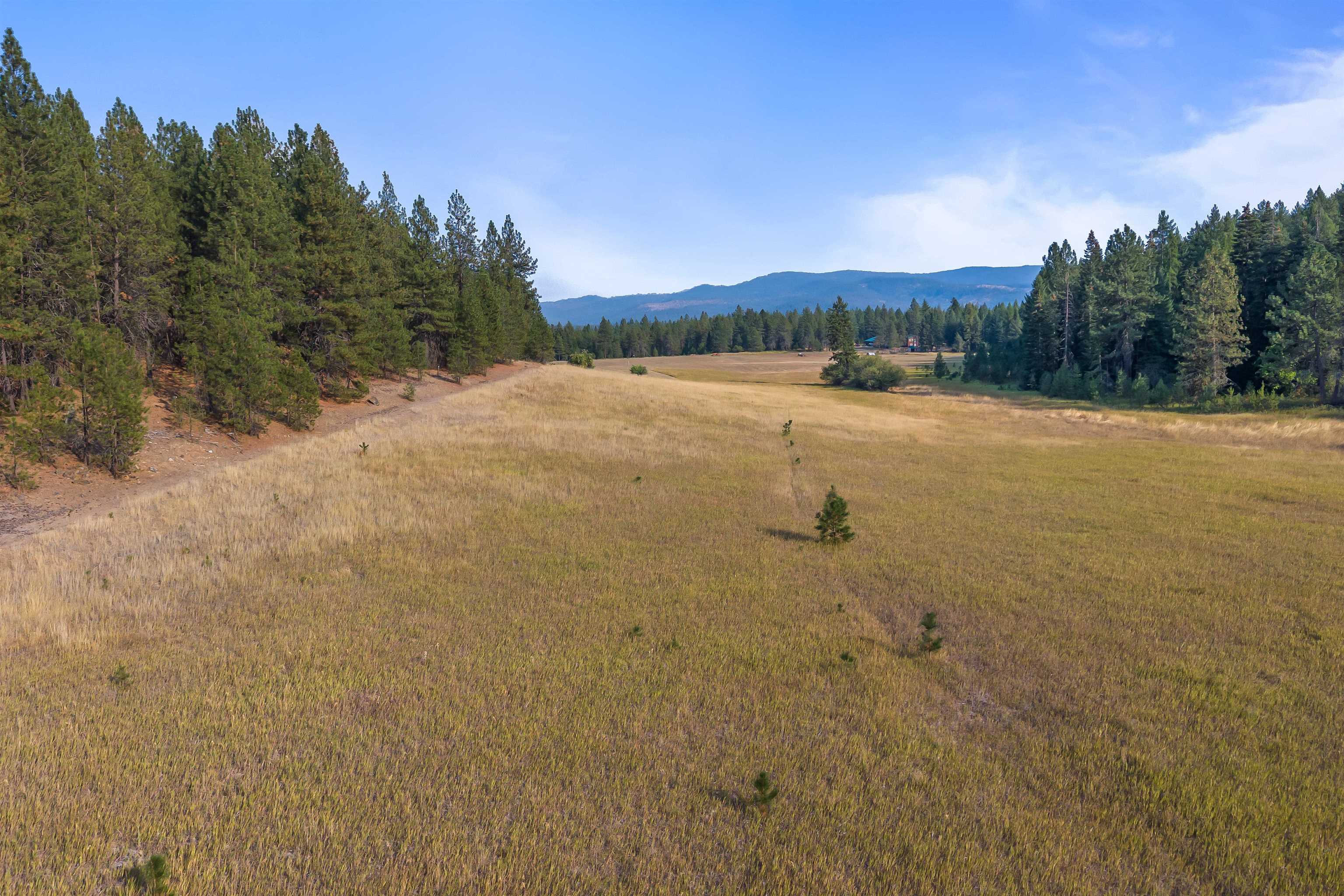 42-xx Lyons Hill Road Springdale, WA 99173 - Photo 8 of 24