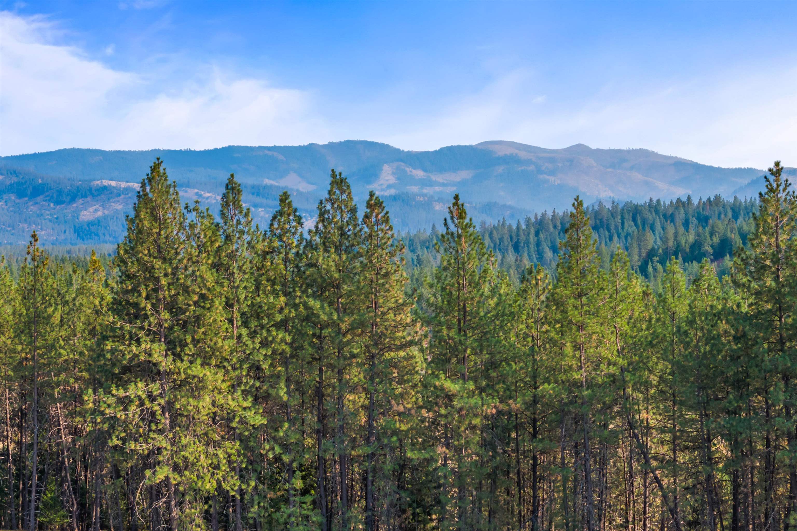 42-xx Lyons Hill Road Springdale, WA 99173 - Photo 10 of 24