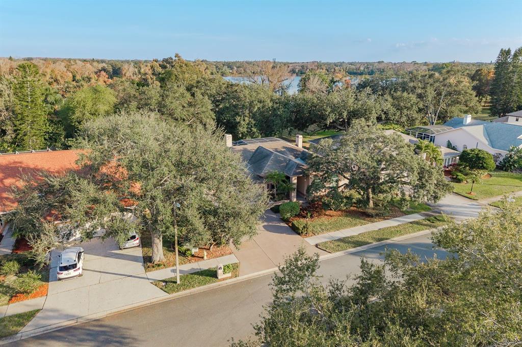 771 Weathersfield Drive Dunedin, FL 34698 - Photo 45 of 48