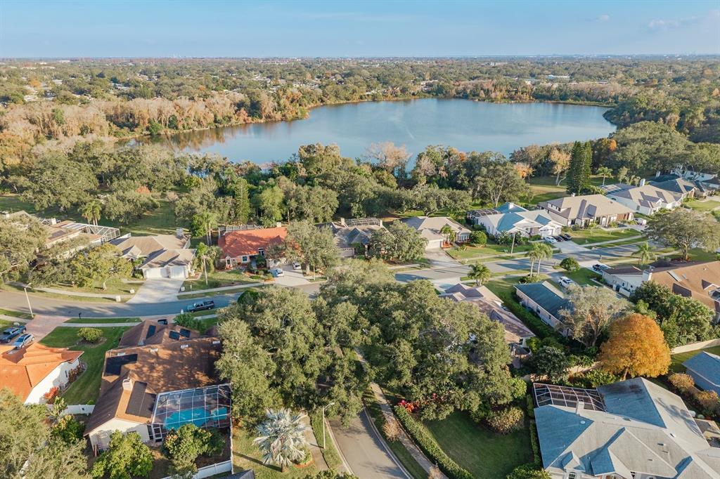 771 Weathersfield Drive Dunedin, FL 34698 - Photo 46 of 48