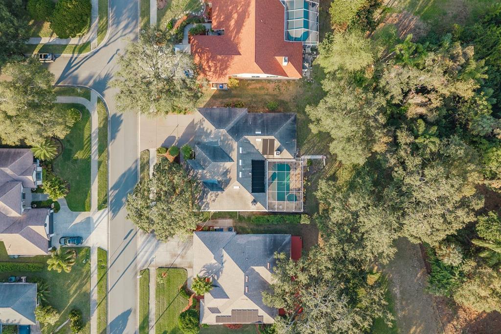 771 Weathersfield Drive Dunedin, FL 34698 - Photo 47 of 48