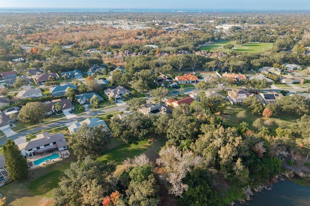 771 Weathersfield Drive Dunedin, FL 34698 - Photo 48 of 48