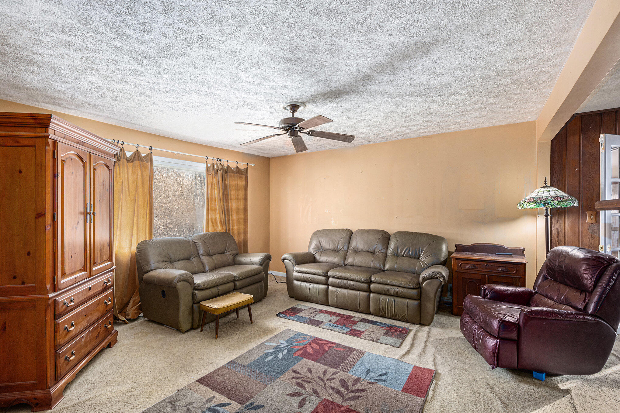 100 Burt Avenue Jackson, MI 49201 - Photo 4 of 25 Living Room 1