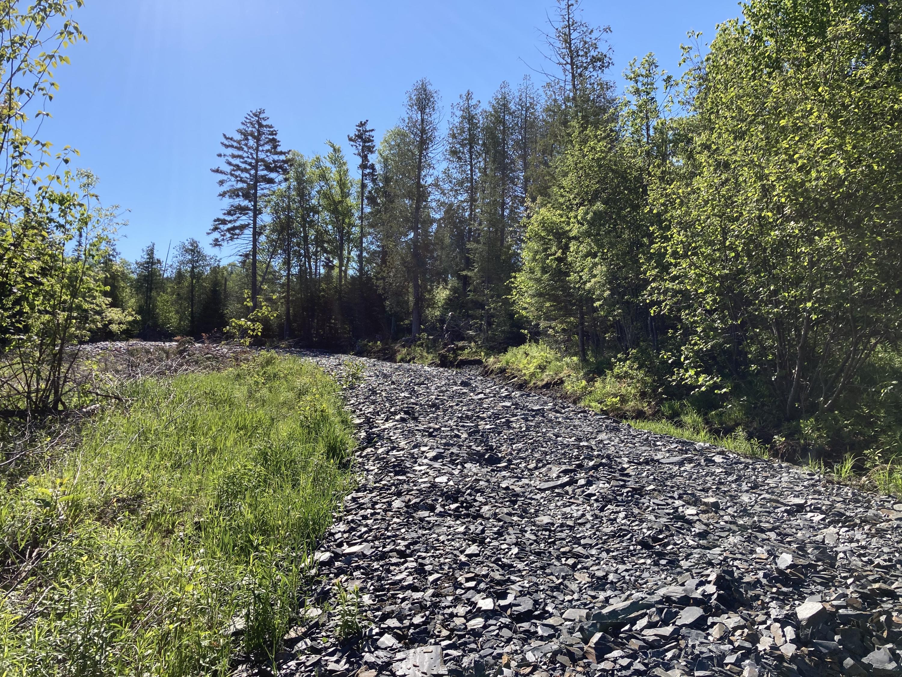 Lot 5 Spring Road Rangeley, ME 04970 - Photo 4 of 6 IMG_0915