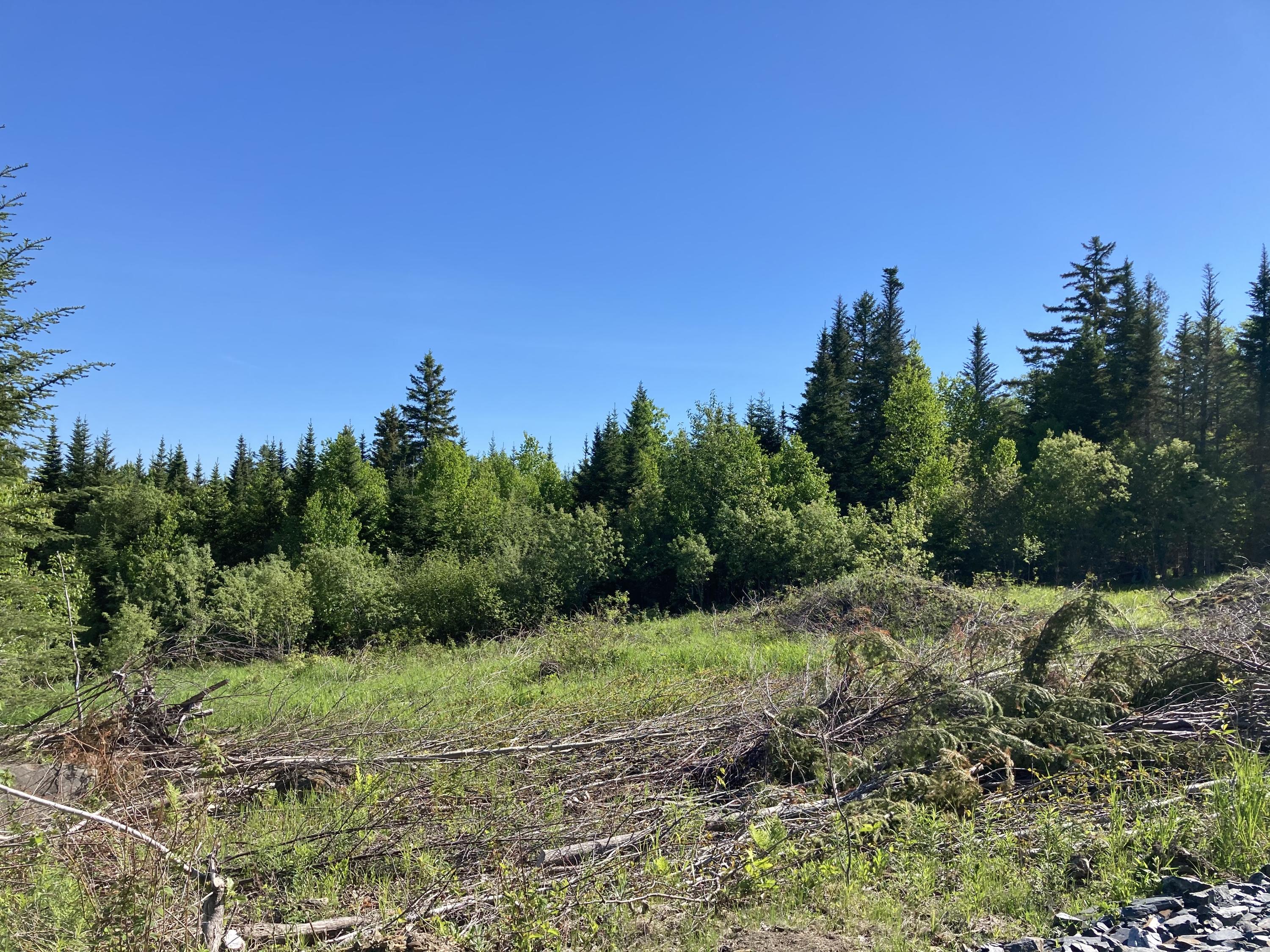 Lot 5 Spring Road Rangeley, ME 04970 - Photo 5 of 6 IMG_0916